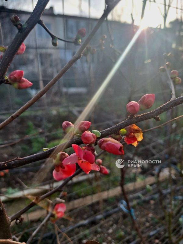 ����������, �� ����: �� ������ ����� � �������� �������� �� ����������� � ������!