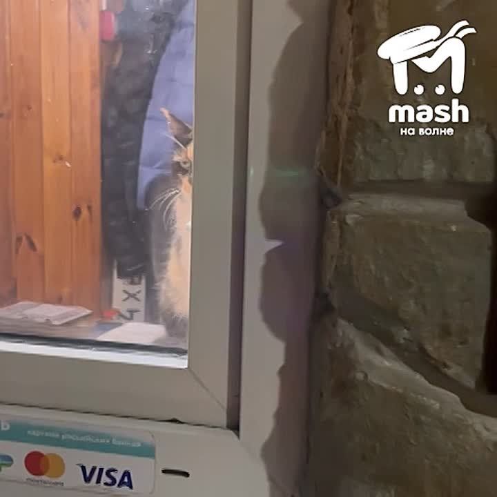 ������ � �������� ����� �������������� ��������� ����� ��� ��� ������