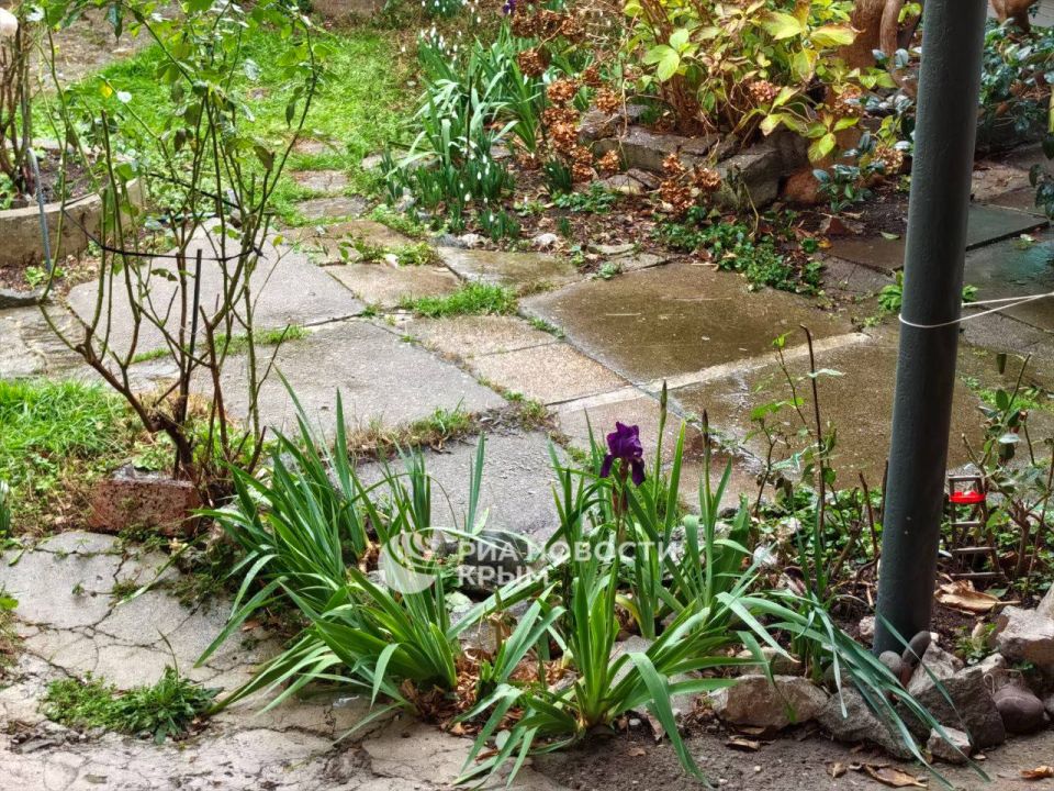 � ������ � ������, � ������� � ����, � � ������ � ����� ������� ����� � ��������