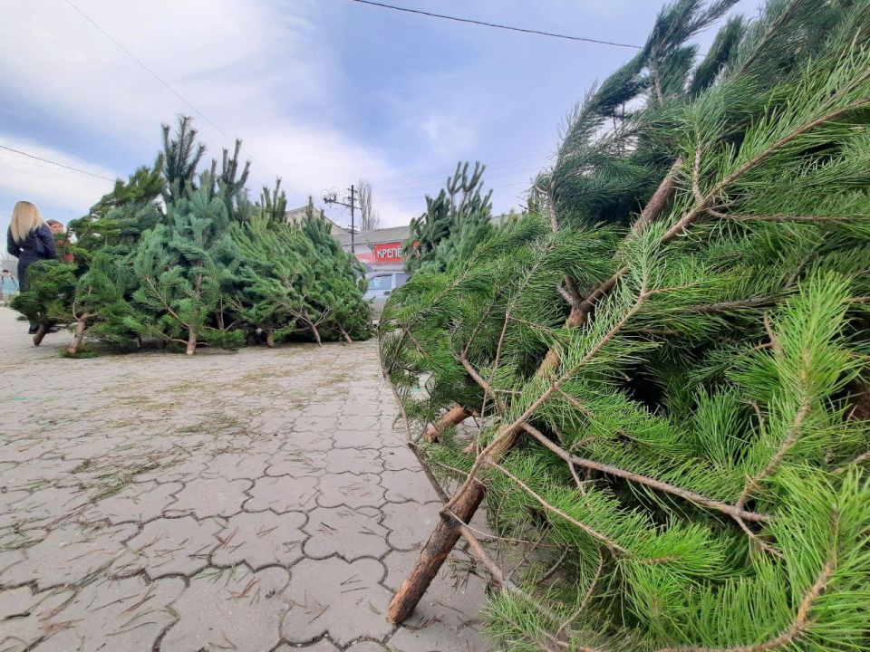 ��� � ����������� ����� ���������� ����?