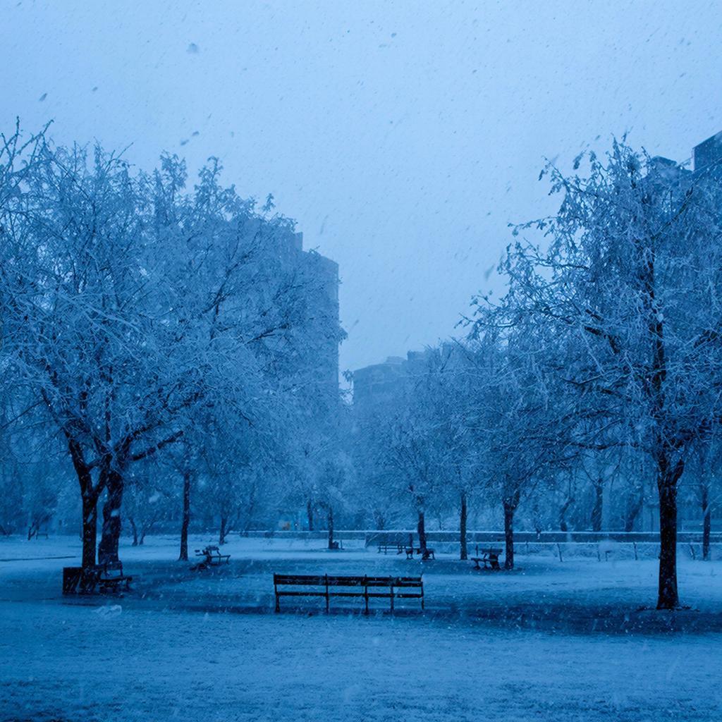 Снег и сильный ветер ожидаются в Крыму 8–9 января