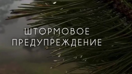 Дмитрий Чумаков: Дорогие друзья, вновь объявлено штормовое предупреждение!