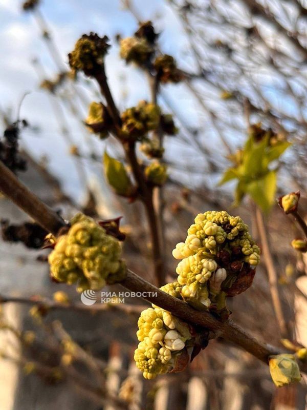 ����������, �� ����: �� ������ ����� � �������� �������� �� ����������� � ������!