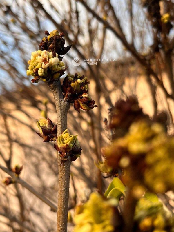 ����������, �� ����: �� ������ ����� � �������� �������� �� ����������� � ������!