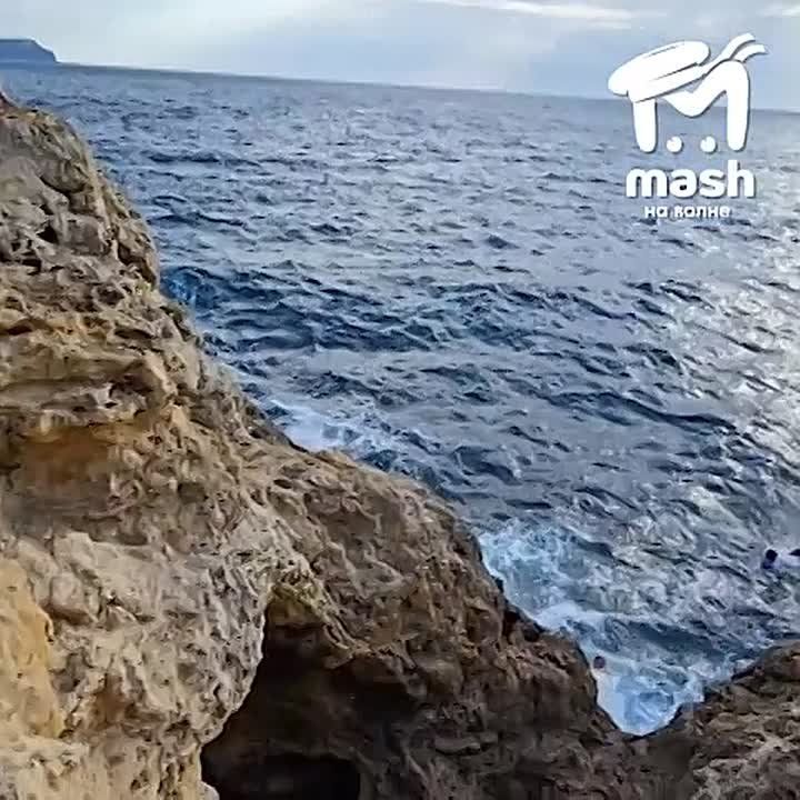 ����, ��������� �����-2026 ���������� ������