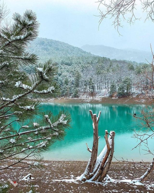 ��������� ����� � ���� ��������� �� ���