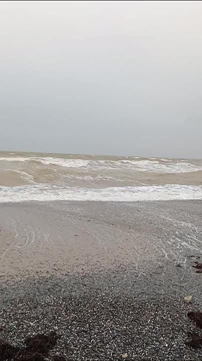 ����� � ������� ��������� ����� ������