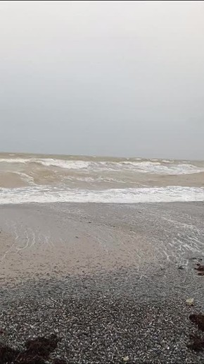 ����� � ������� ��������� ����� ������