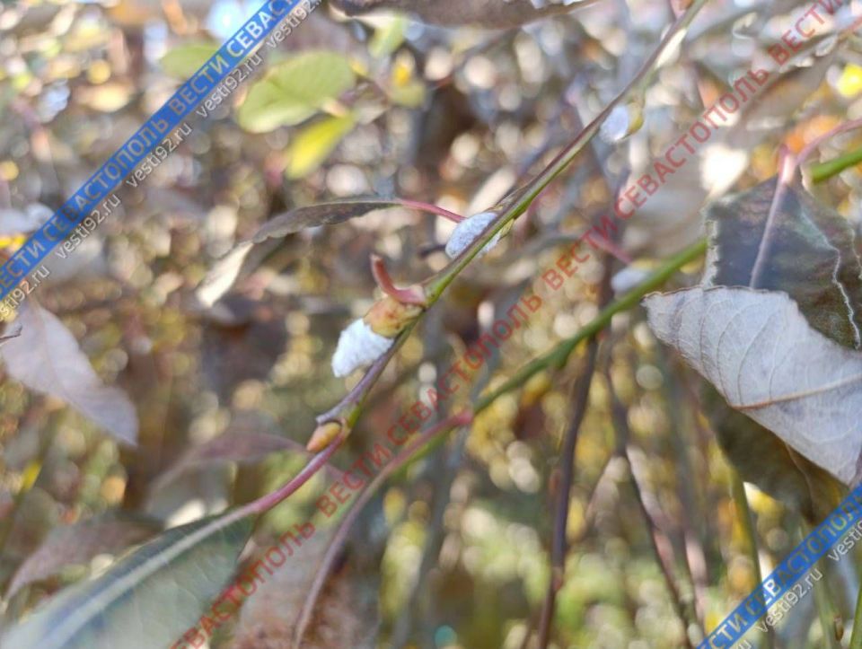 � ����������� ����� ����������� �� ���� ���������� �� ��������� ��������� ������� �����