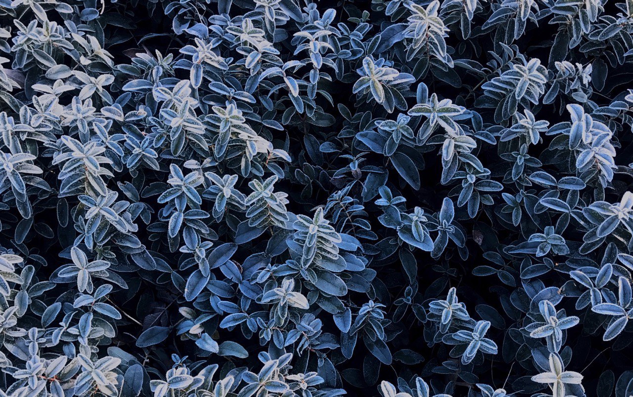 Завтра в Крыму резко похолодает на 13 градусов