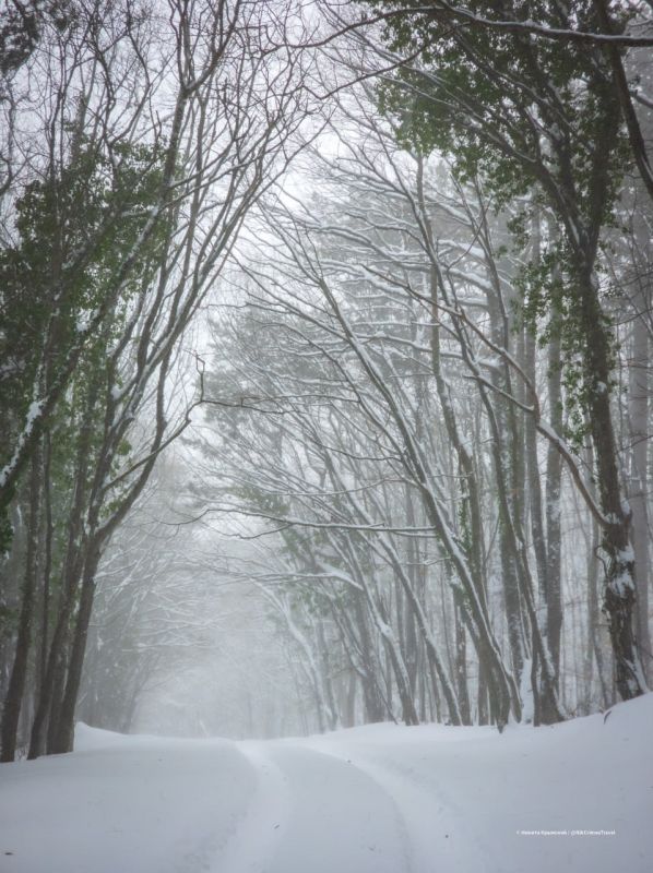 ������ �� ����� ��-����� �������� ������� ��� �������� � ���������� � ����� � ���������������� ��������� ���������