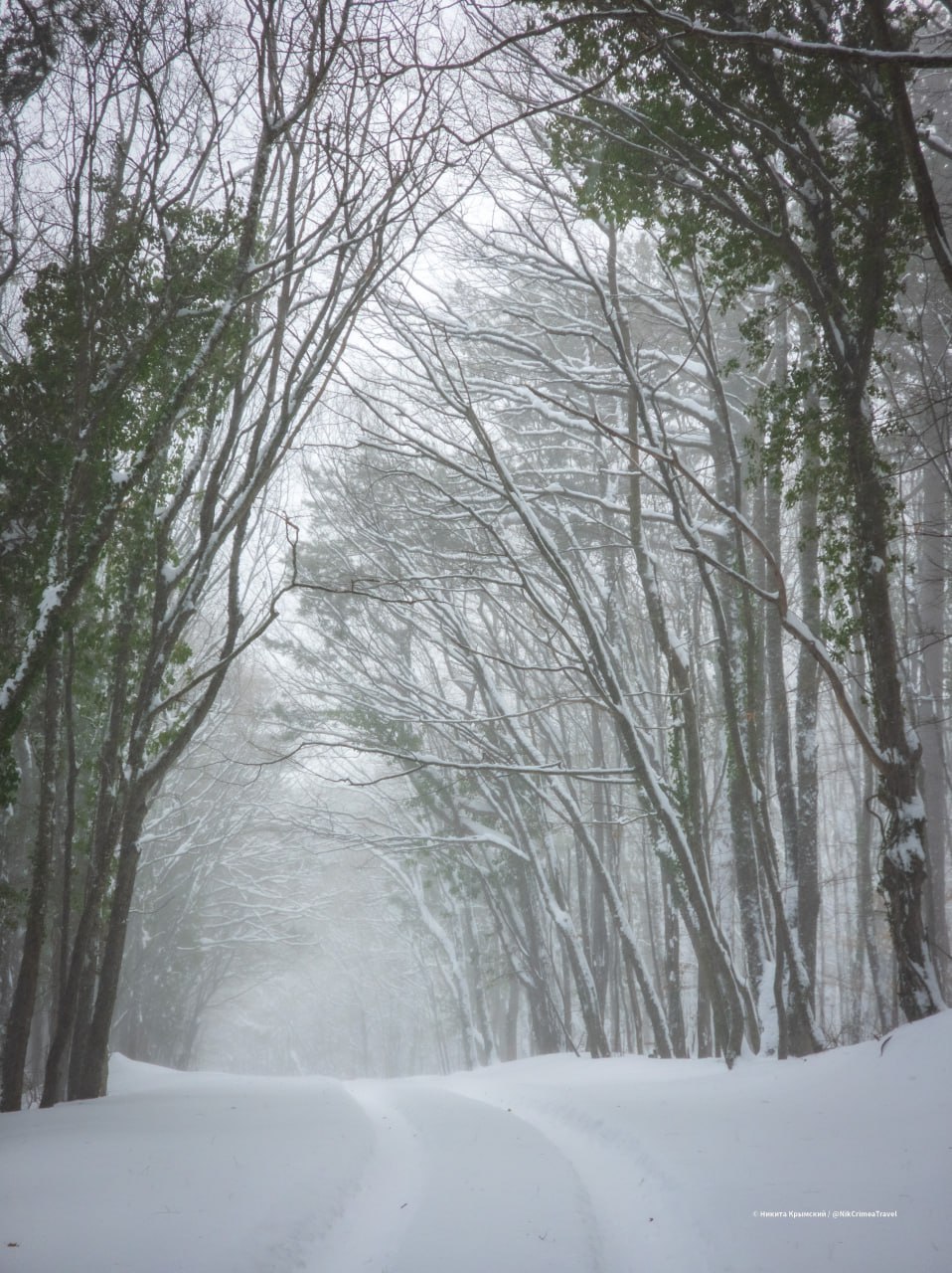 Дорога на плато Ай-Петри временно закрыта для туристов и транспорта в связи с неблагоприятными погодными условиями