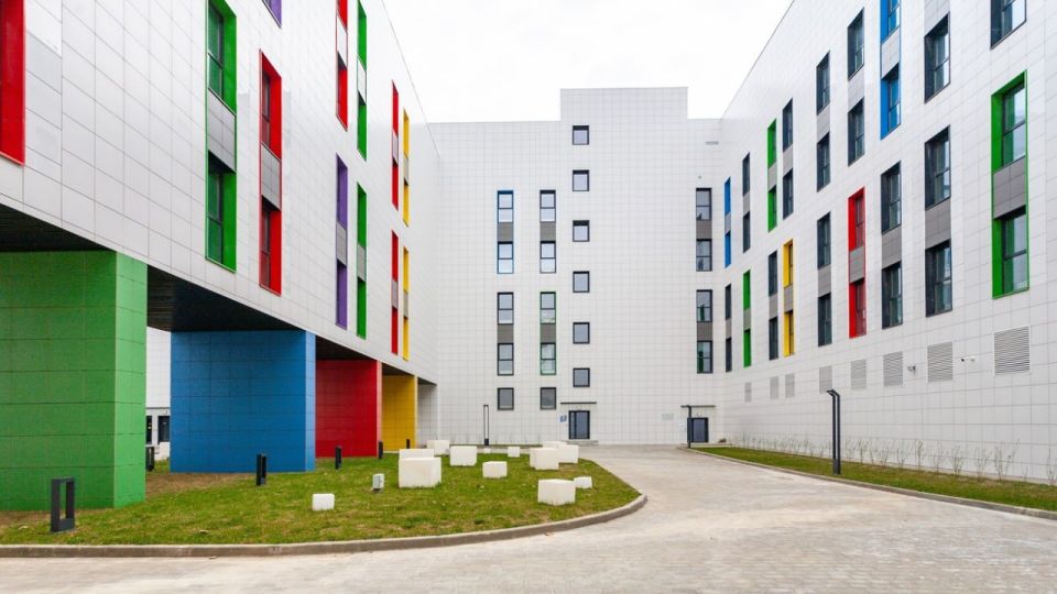 � ��������� �������� ������ ���� ������������� ������������ �������� ����������������� ������