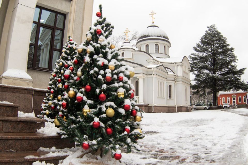 ������ ���������: ��������, ����� ����������� �������� �����, 2026-� ���