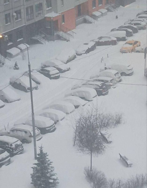 ������� ������������: ������� ������ ����� � ��������