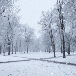 � ����� 9 ������ ��������� ���� � ������� �����