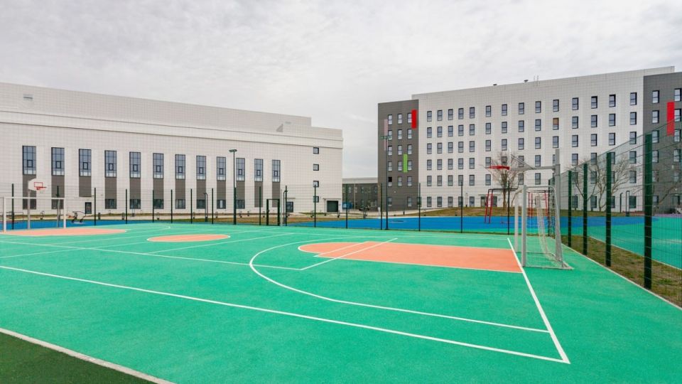 �������� ������ ���� ������������� ������������ �������� ����������������� ������ � ���������