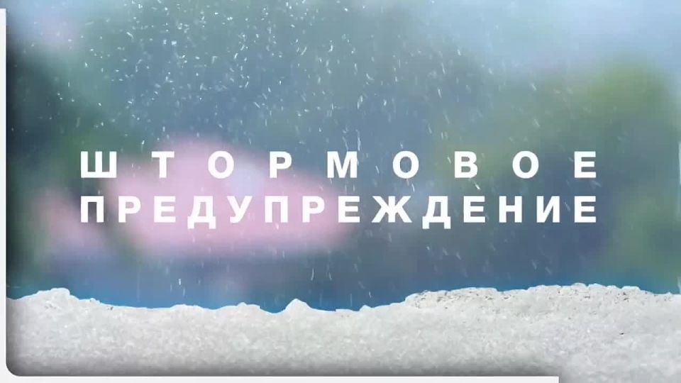 ���������� �������������� �� ������� ���������������������� �������� �� ���������� ���� �� 10 ������ 2026 ����