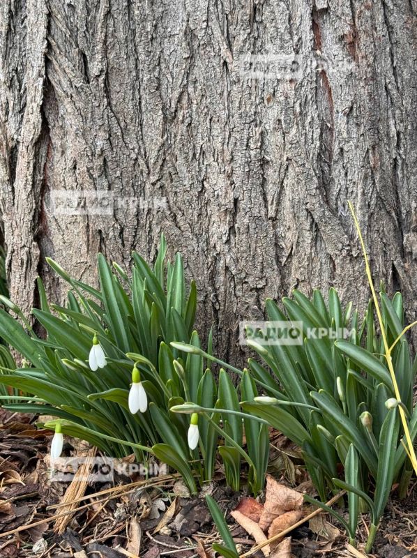 �������� �� �������� ������, �� ����� ������ ����� ������������ �����������