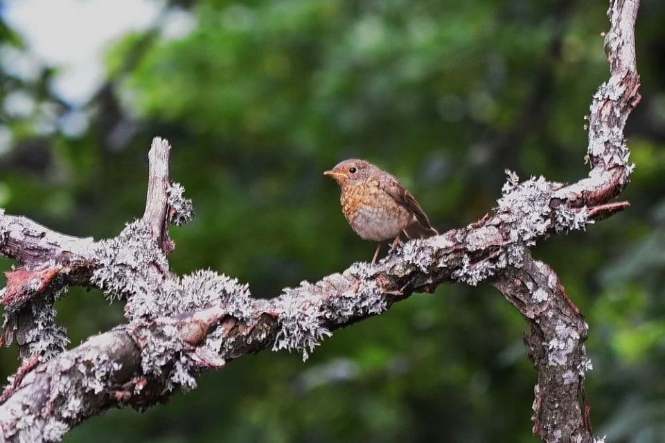 �������� ������������: ������� � ���� ������������ � ������������ ������ ������