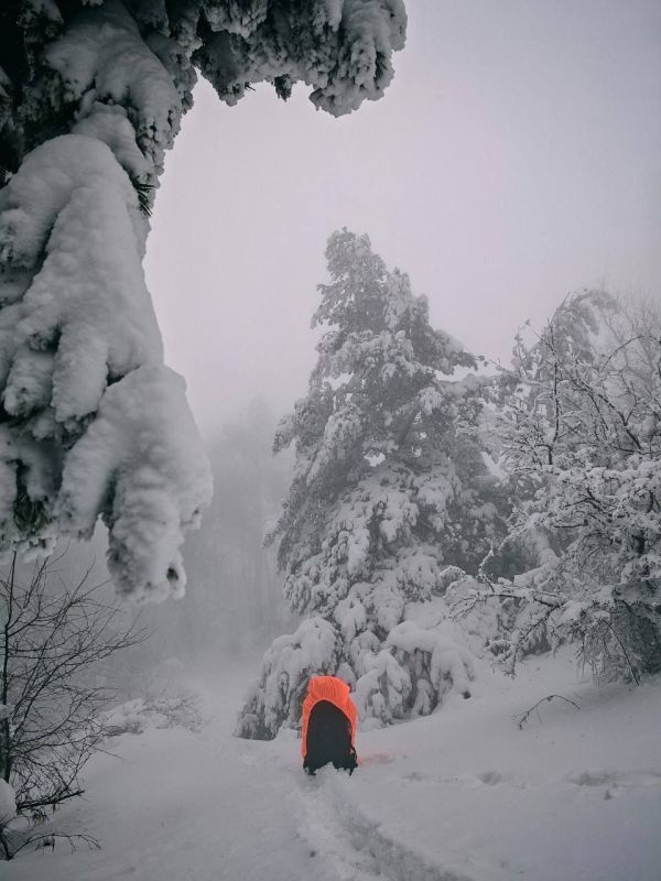 ���� � �������� �����. �������� �� ������� � ����� � ����� ������?