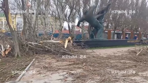 Сильный ветер повалил деревья и оборвал электросети в Феодосии