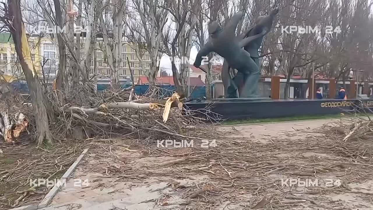 Сильный ветер повалил деревья и оборвал электросети в Феодосии