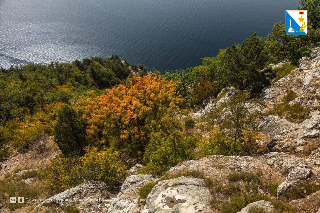 Сегодня — Всероссийский день заповедников и национальных парков Сегодня — Всероссийский день заповедников и национальных парков