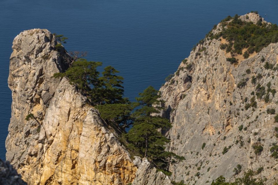 ������ ���������: ������� � ������������� ���� ������������ � ������������ ������