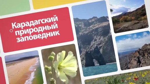 ������� ���� ������������ � ������������ ������