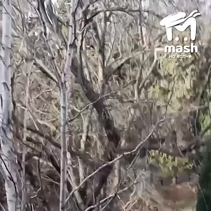 Мы нашли идеальный саундтрек для последнего дня длинных выходных