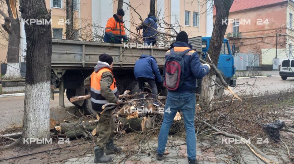 Сильный ветер повалил деревья и оборвал электросети в Феодосии Сильный ветер повалил деревья и оборвал электросети в Феодосии