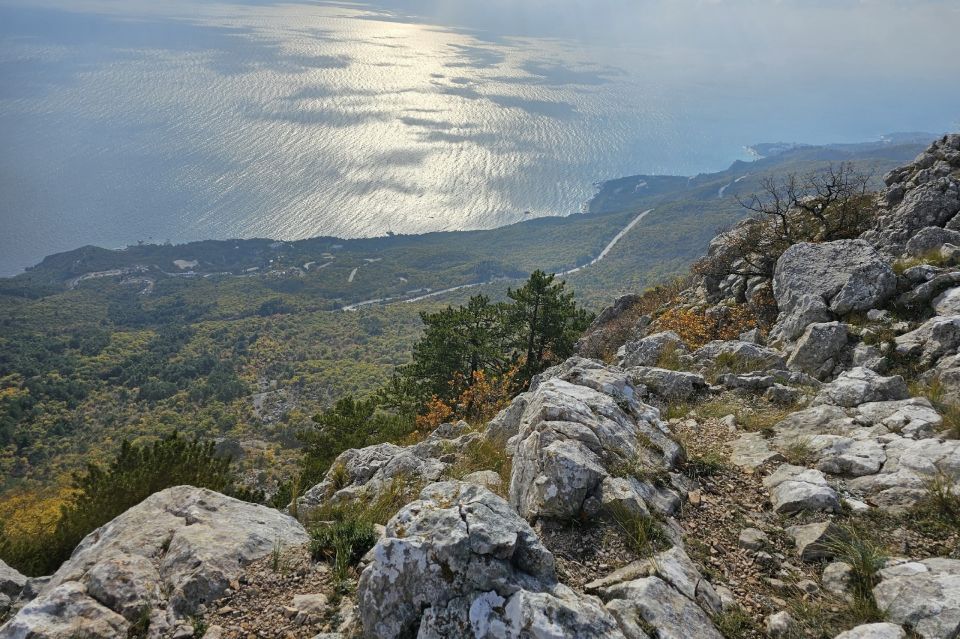 �������� ������������: ������� � ���� ������������ � ������������ ������ ������