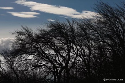 ������� ������ � ����� �� �����������