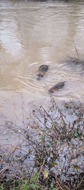 ������ ���������: ������������ ������� ���� � ����� �����������