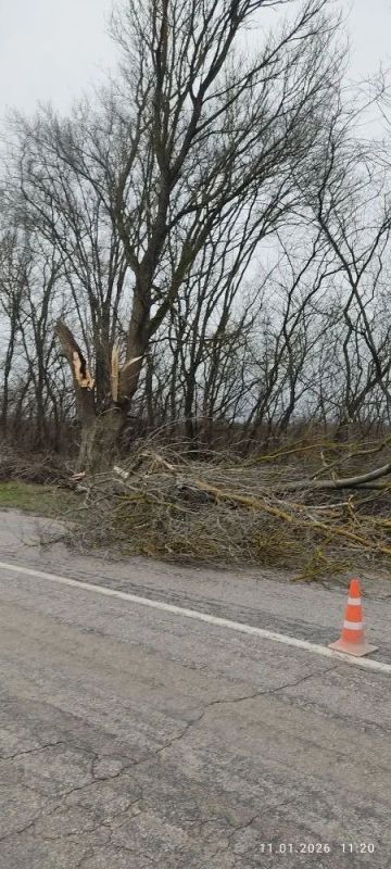 � ����� ��������� ����������� ����������� �������, ������� ��������� ������������ ������ �� ����������� � �����, ������ � �������� �����