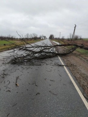 В Крыму действует прохождение Балканского циклона, который формирует неустойчивую погоду на полуострове — дожди, осадки и усиление ветра