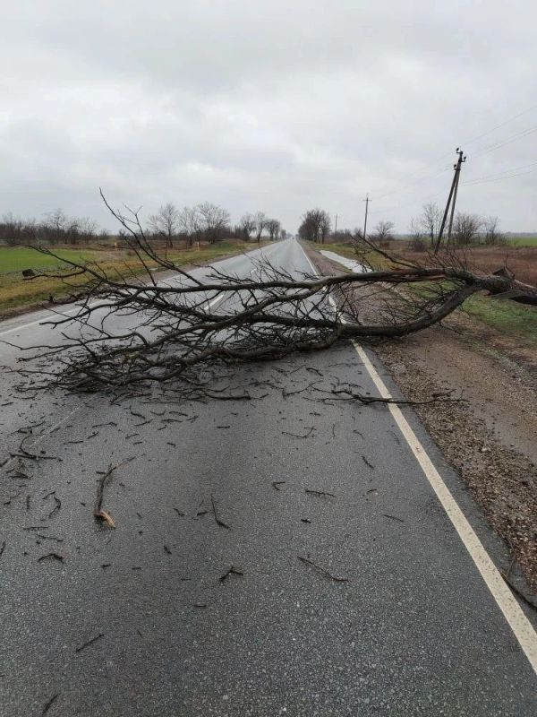 � ����� ��������� ����������� ����������� �������, ������� ��������� ������������ ������ �� ����������� � �����, ������ � �������� �����