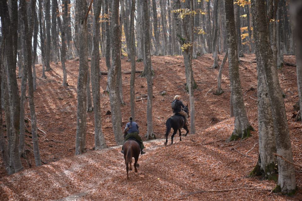 11 ������ � ������ ���������� ���� ������������ � ������������ ������