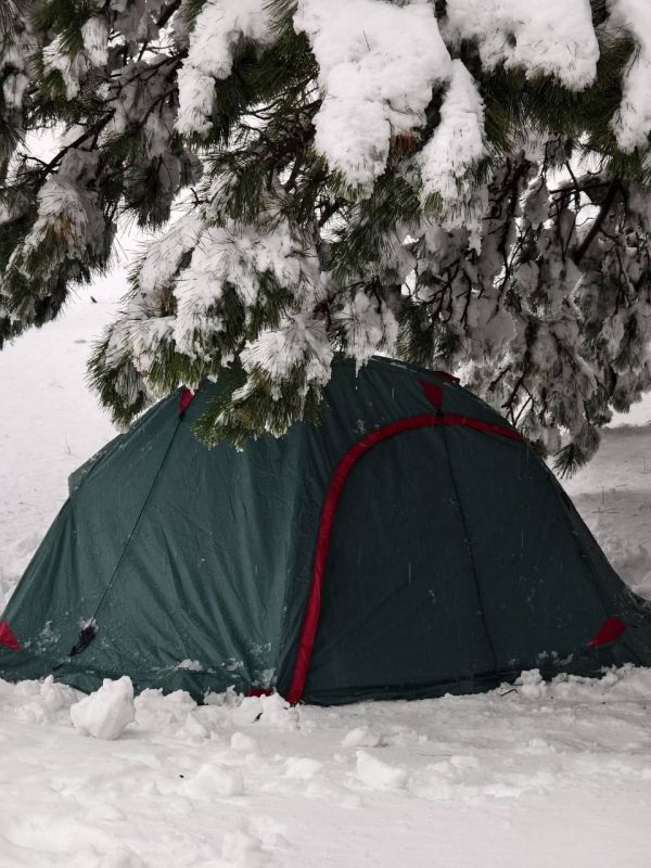 ���� � �������� �����. �������� �� ������� � ����� � ����� ������?