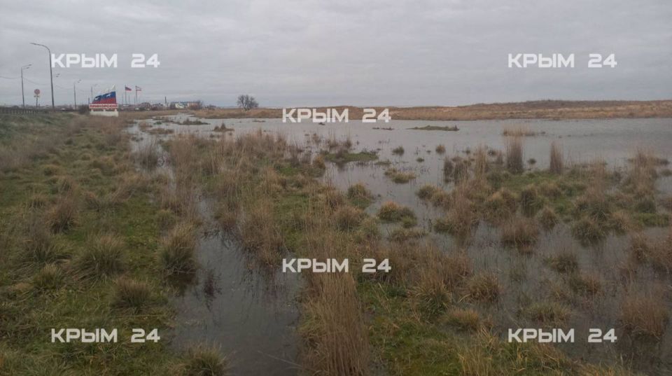 ����� �������� ���������� ���������� � ��������