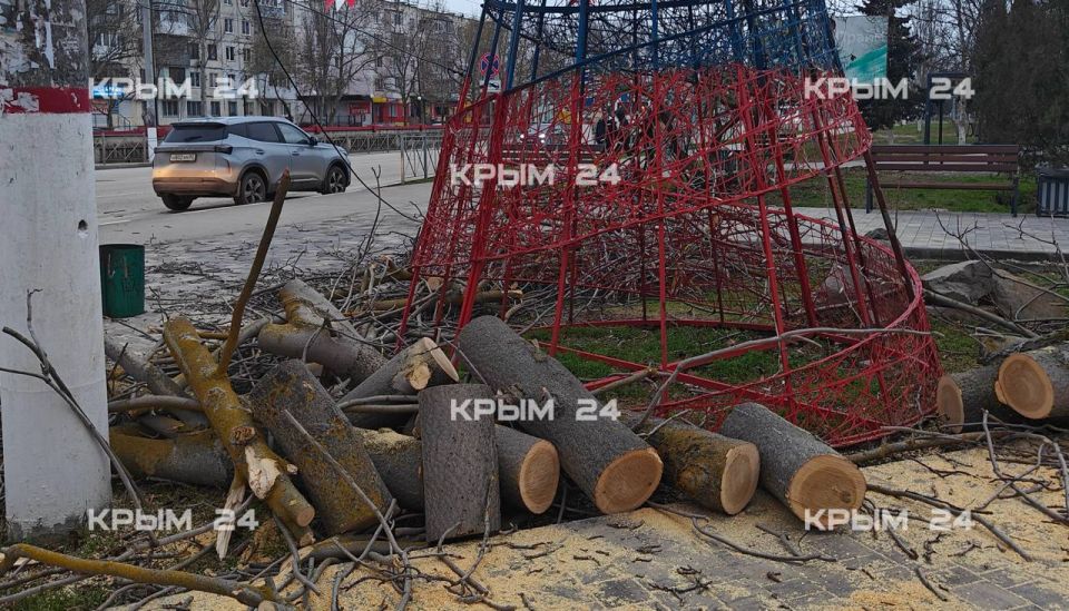 Штормовой ветер повалил дерево у автовокзала в Керчи Штормовой ветер повалил дерево у автовокзала в Керчи