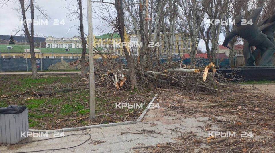 Сильный ветер повалил деревья и оборвал электросети в Феодосии Сильный ветер повалил деревья и оборвал электросети в Феодосии