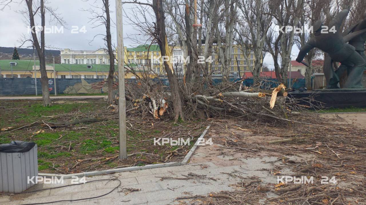 Сильный ветер повалил деревья и оборвал электросети в Феодосии Сильный ветер повалил деревья и оборвал электросети в Феодосии