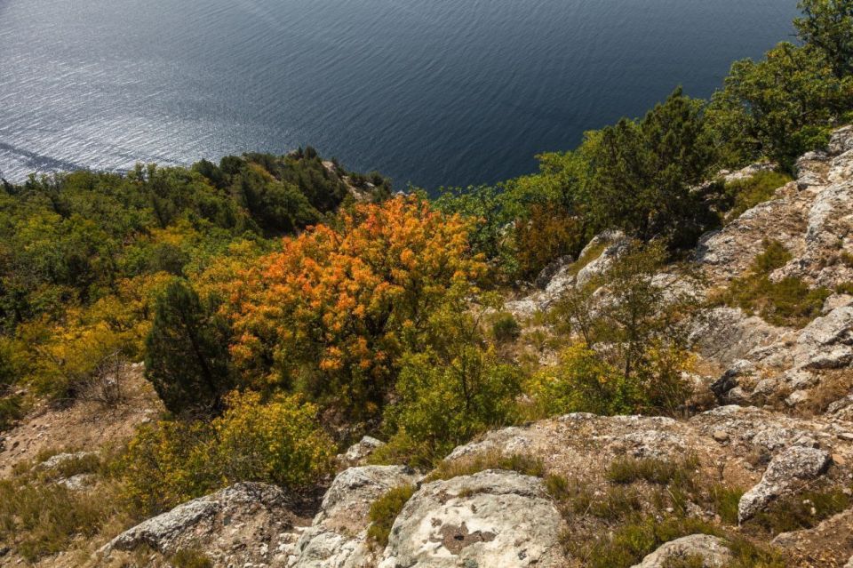 ������ ���������: ������� � ������������� ���� ������������ � ������������ ������