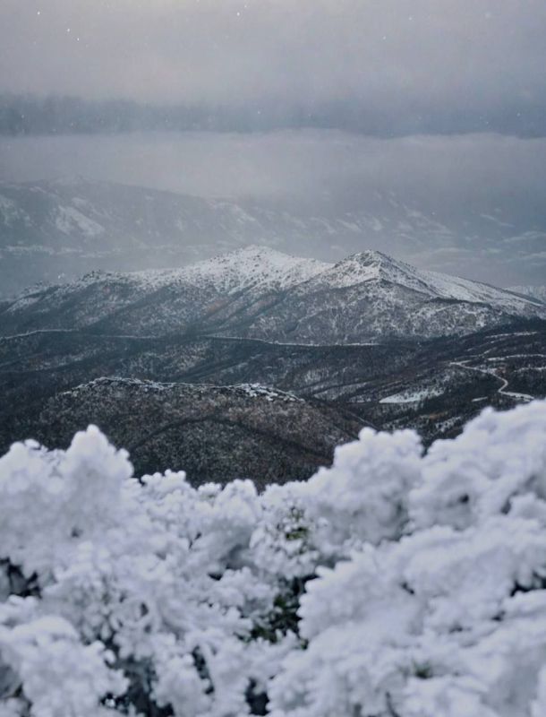 ���� � �������� �����. �������� �� ������� � ����� � ����� ������?