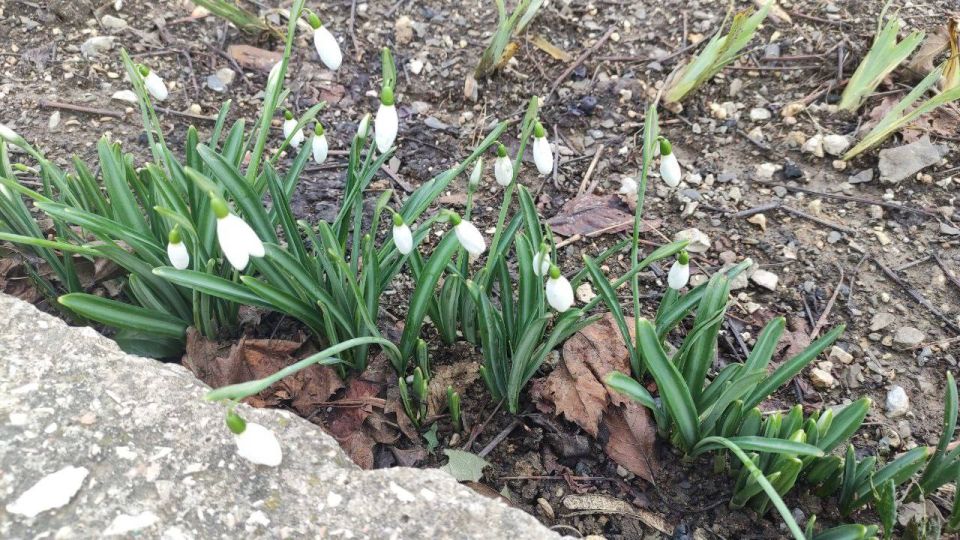 ����� ����� ����� � ����������!