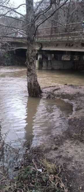 ������ ���������: ������������ ������� ���� � ����� �����������