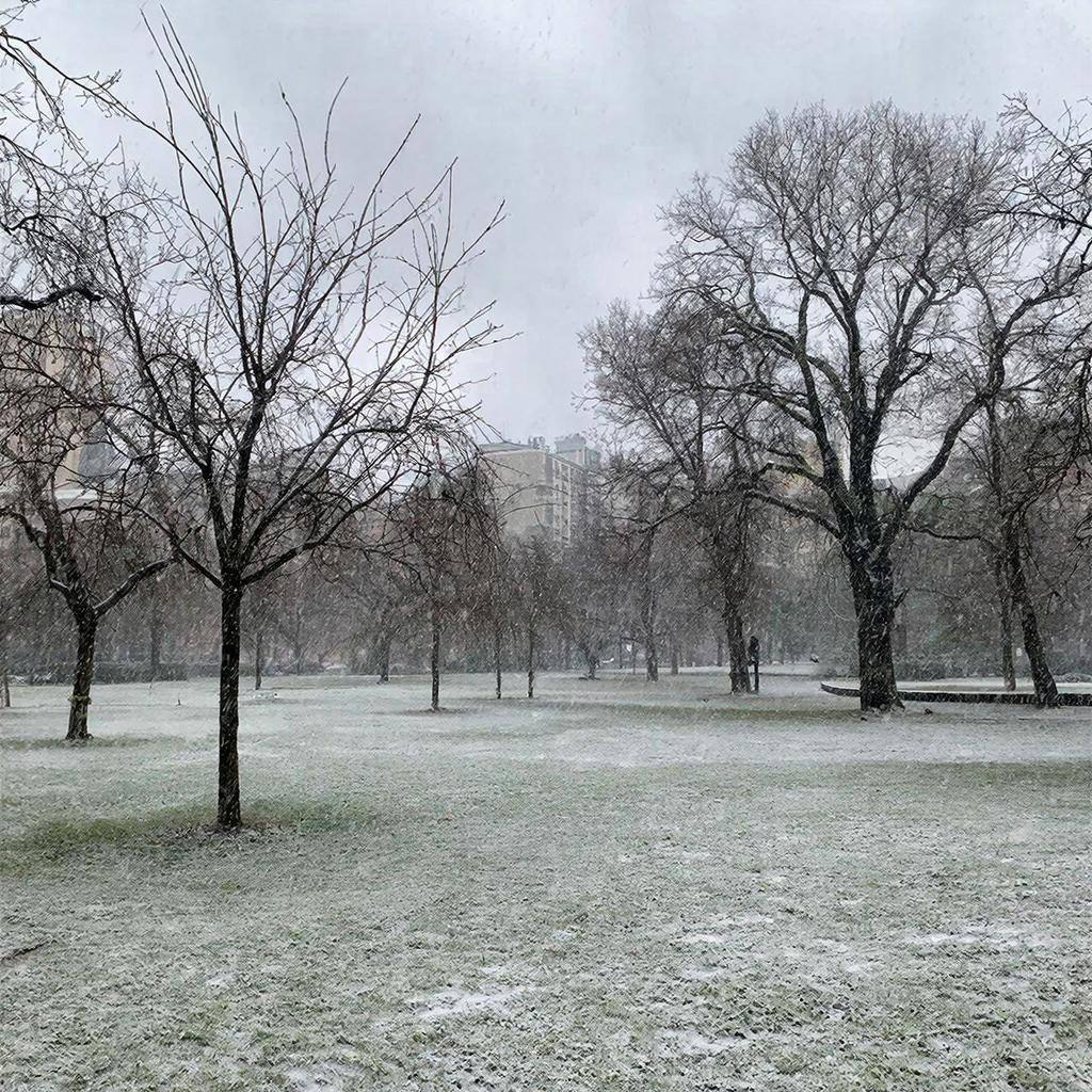 Какая погода ждёт жителей и гостей Крыма 11 января