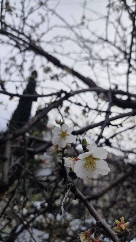 ����� ����� ����� � ����������!